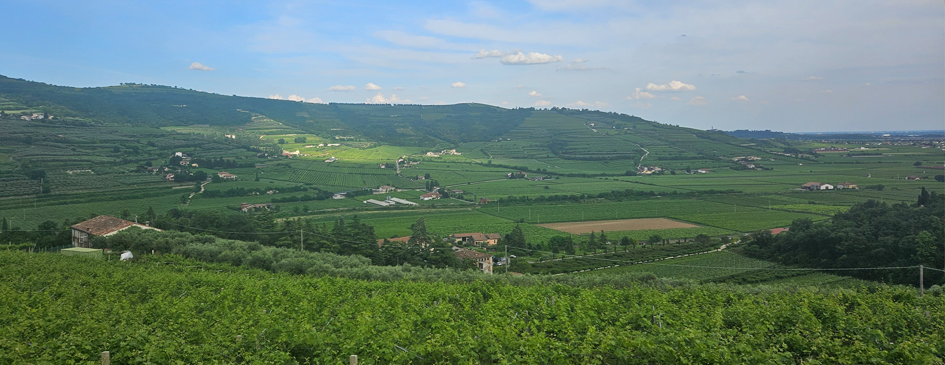 Le degustazioni a Il Monte Caro